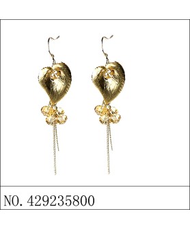 Earrings Brown