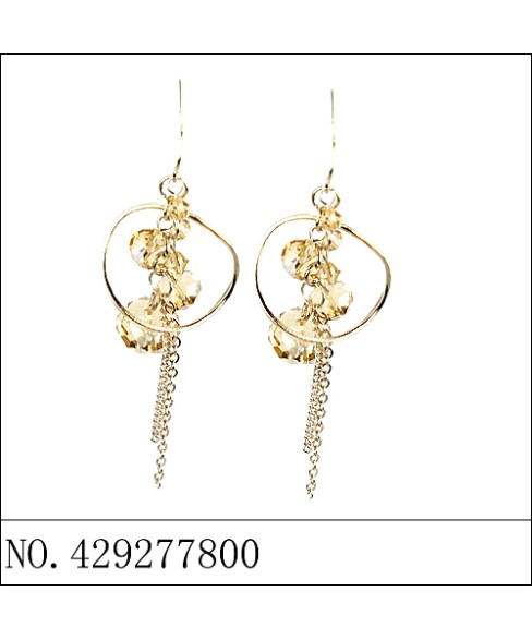 Earrings Brown