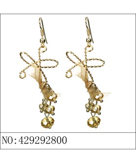 Earrings Brown