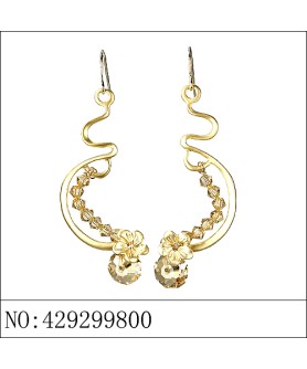 Earrings Brown