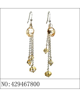 Earrings Brown