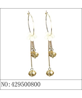 Earrings Brown