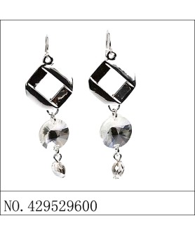 Earrings Gray