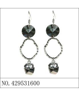 Earrings Gray