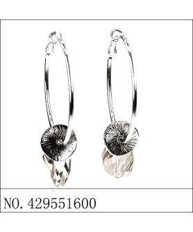 Earrings Gray