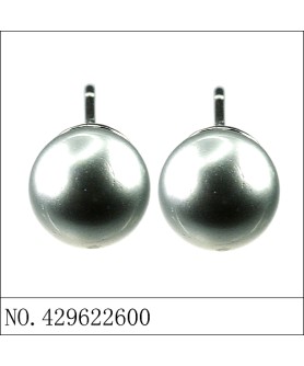 Earrings Gray