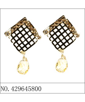 Earrings Brown