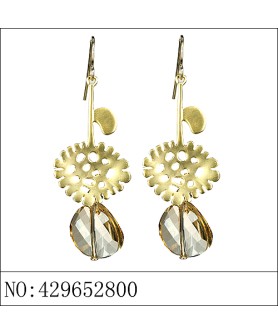 Earrings Brown