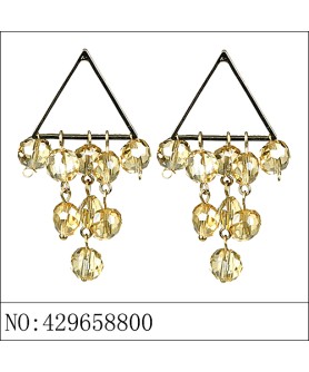 Earrings Brown