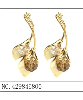 Earrings Brown