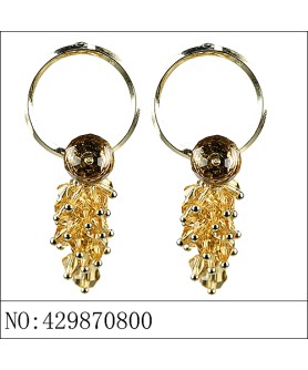 Earrings Brown