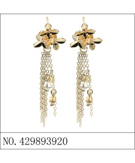 Earrings Gold